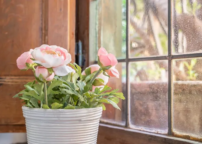 Campo De' Fiori 34 4*